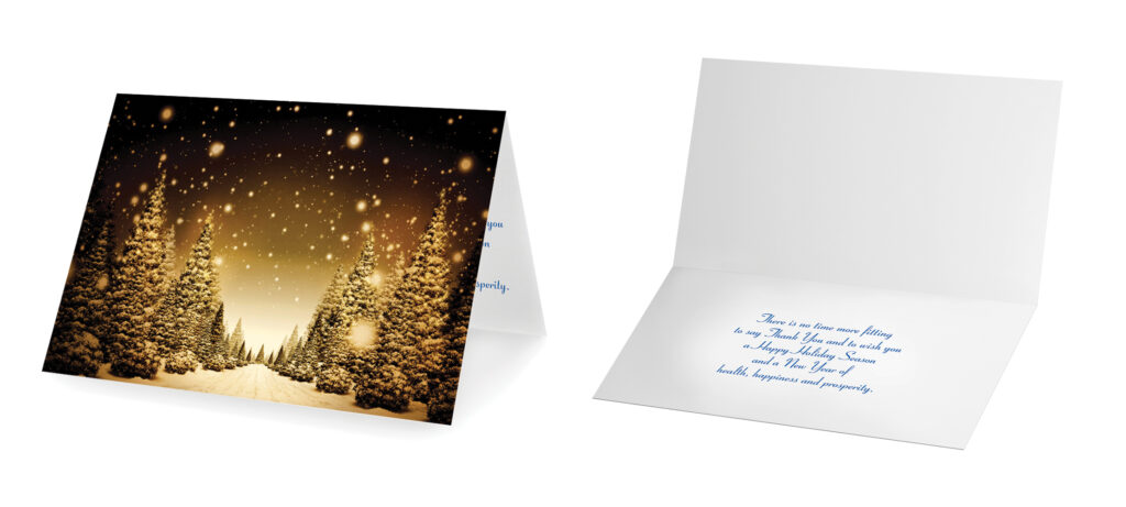 Beautiful night Happy Holiday Christmas Cards